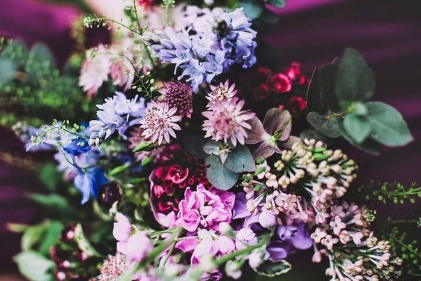 Flowers In My Bones