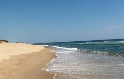 www.tripadvisor.com