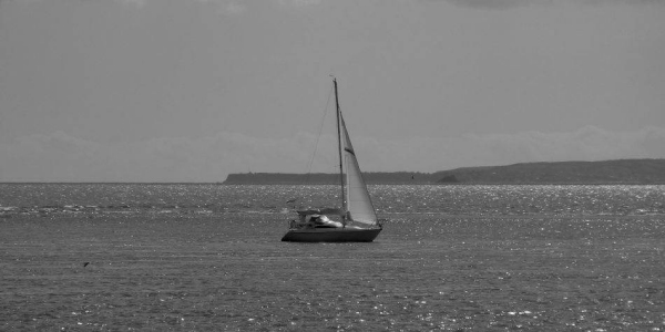 photo_four