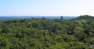 From one of the temples you get to see the natural reserve and the junggle.