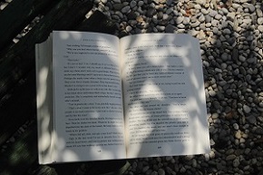 book and shadows
