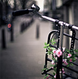 Typical bike with flowers