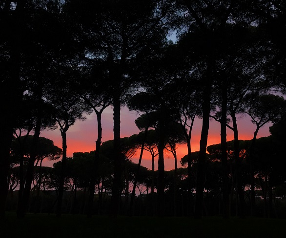 Villa Pamphili Sunset