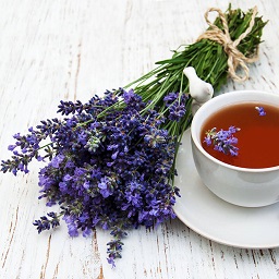 lavender tea