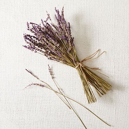 dried lavender