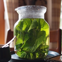 lemon balm tea