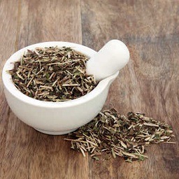 dried skullcap
