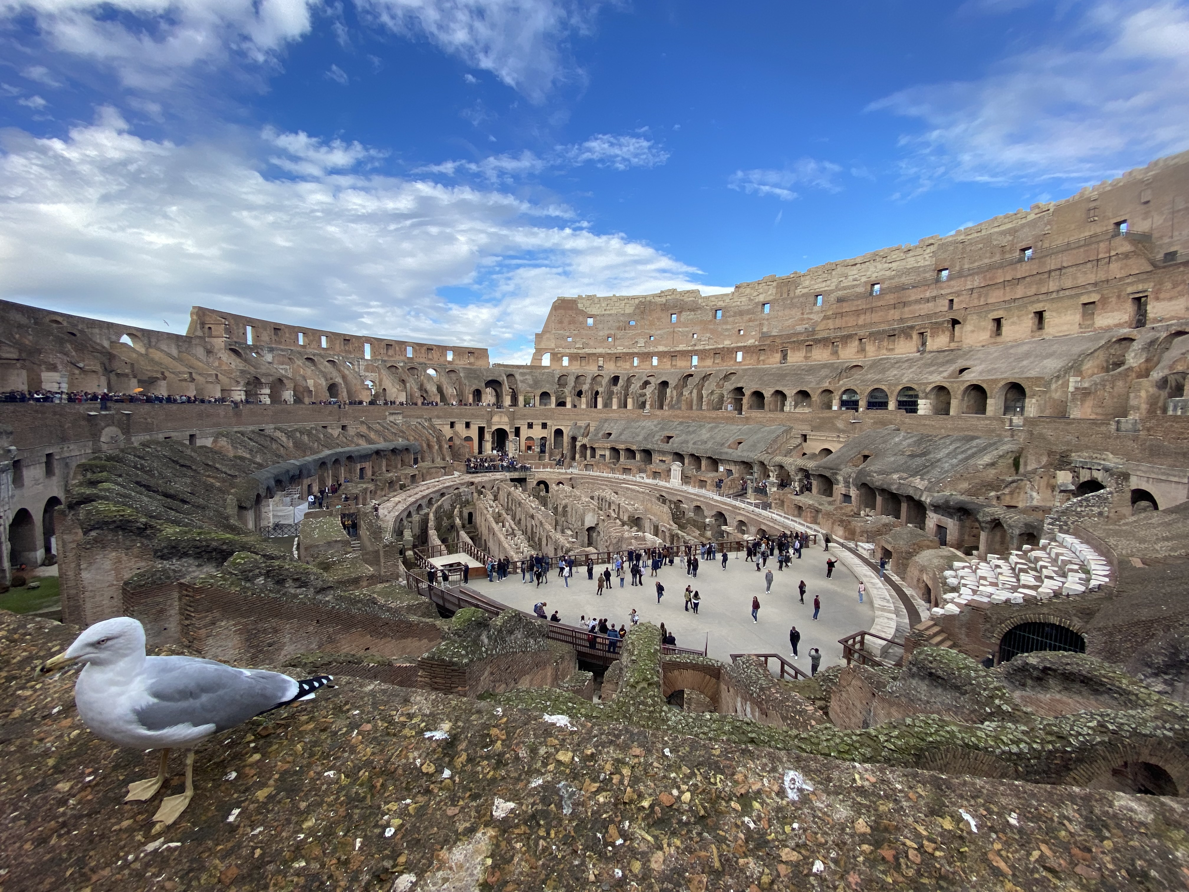 Image of the Colosseum