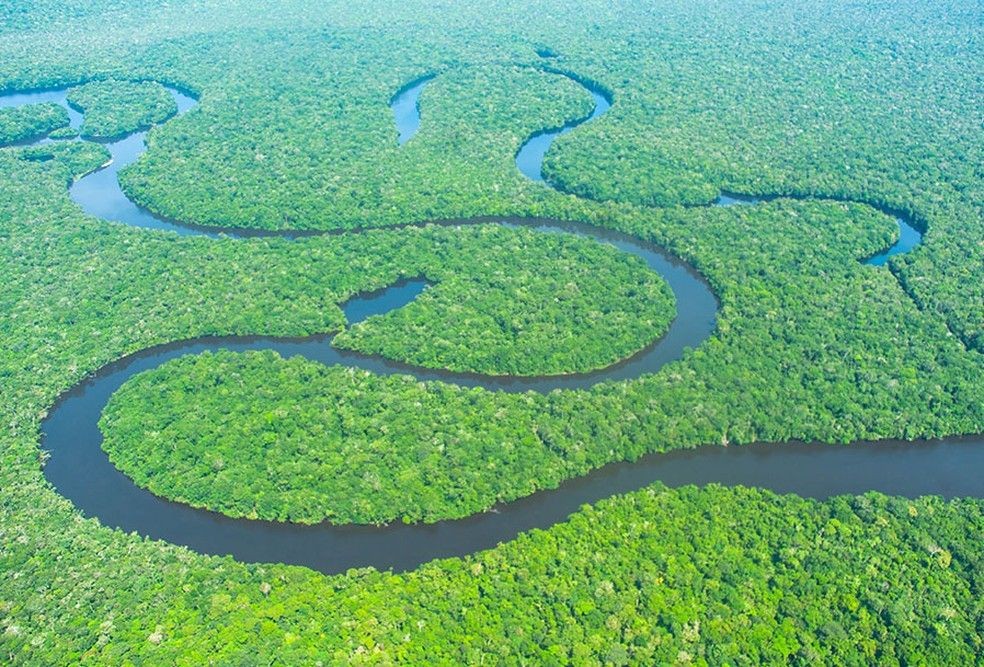 Amazon Rainforest