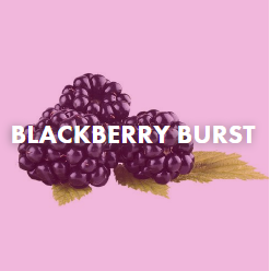 blackberry flavor