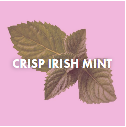 crisp Irish mint flavor