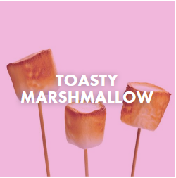 toasty marshmallow flavor