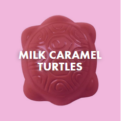 chocolate caramel turtles topping