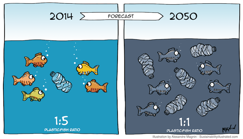 how many fishes vs how many plastic in the sea