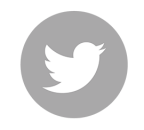 this is the twitter logo