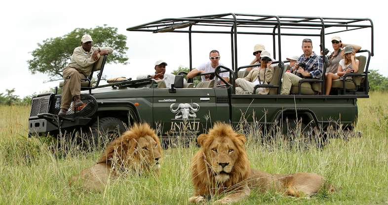 Kruger National Park Safari