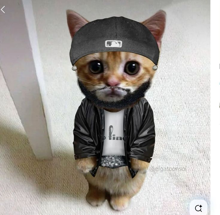 Muffin
