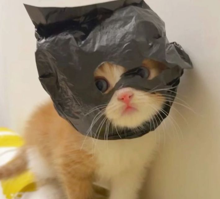 Goblin