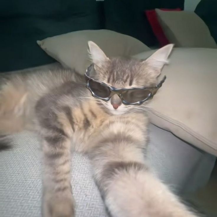 Mittens
