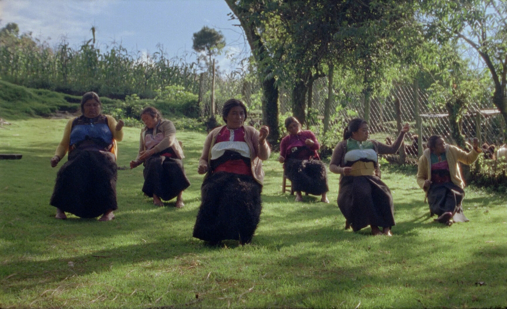 EcoCinema scene 1