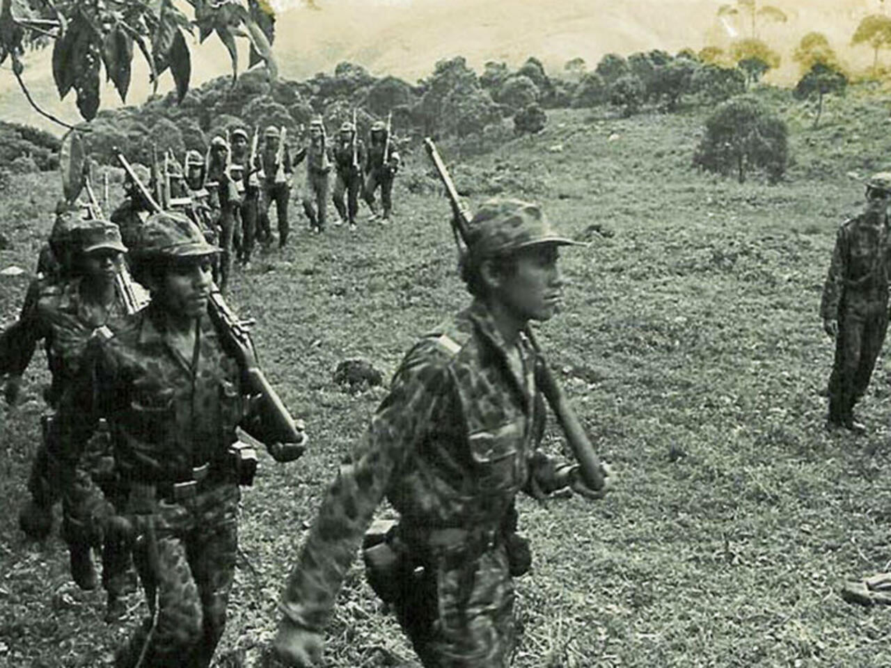 Guerrilla Image