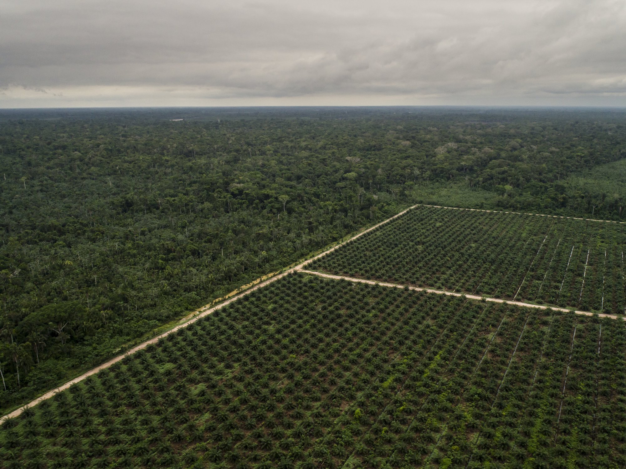Agriculture Image